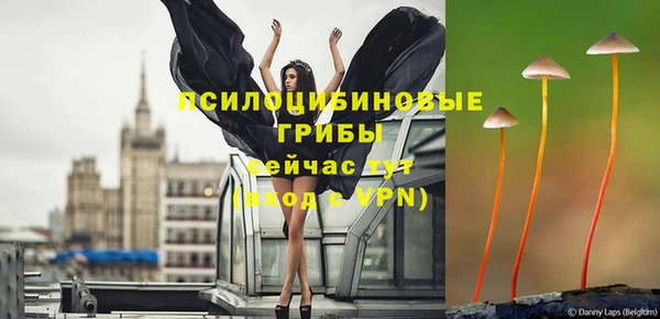 экстази Богородск