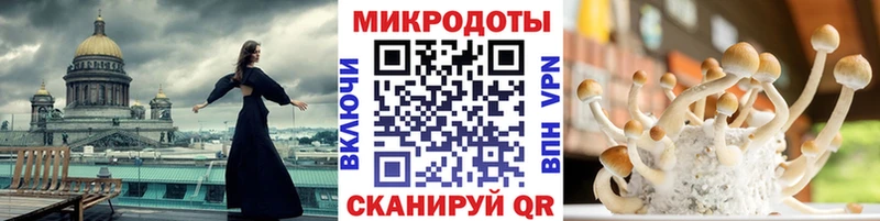 Псилоцибиновые грибы Psilocybine cubensis  ссылка на мегу ссылка  Белорецк 
